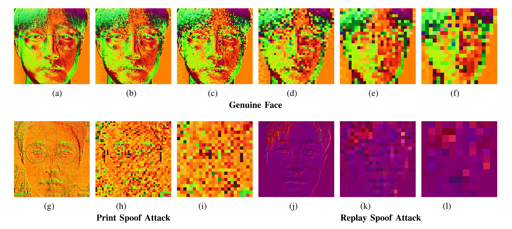 Linear Polarization Colormap visualization